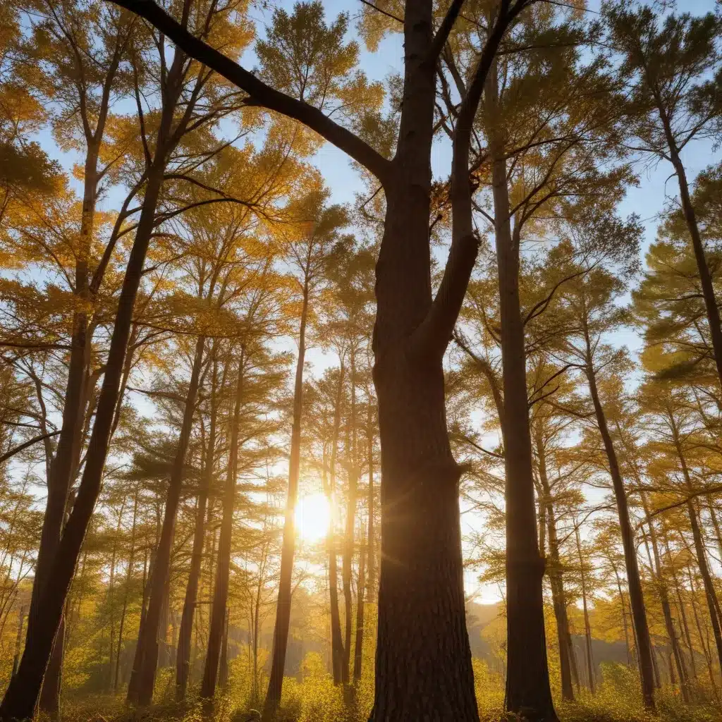 Celebrating the Equinox: Honoring the Changing of the Seasons at Crooked Pines