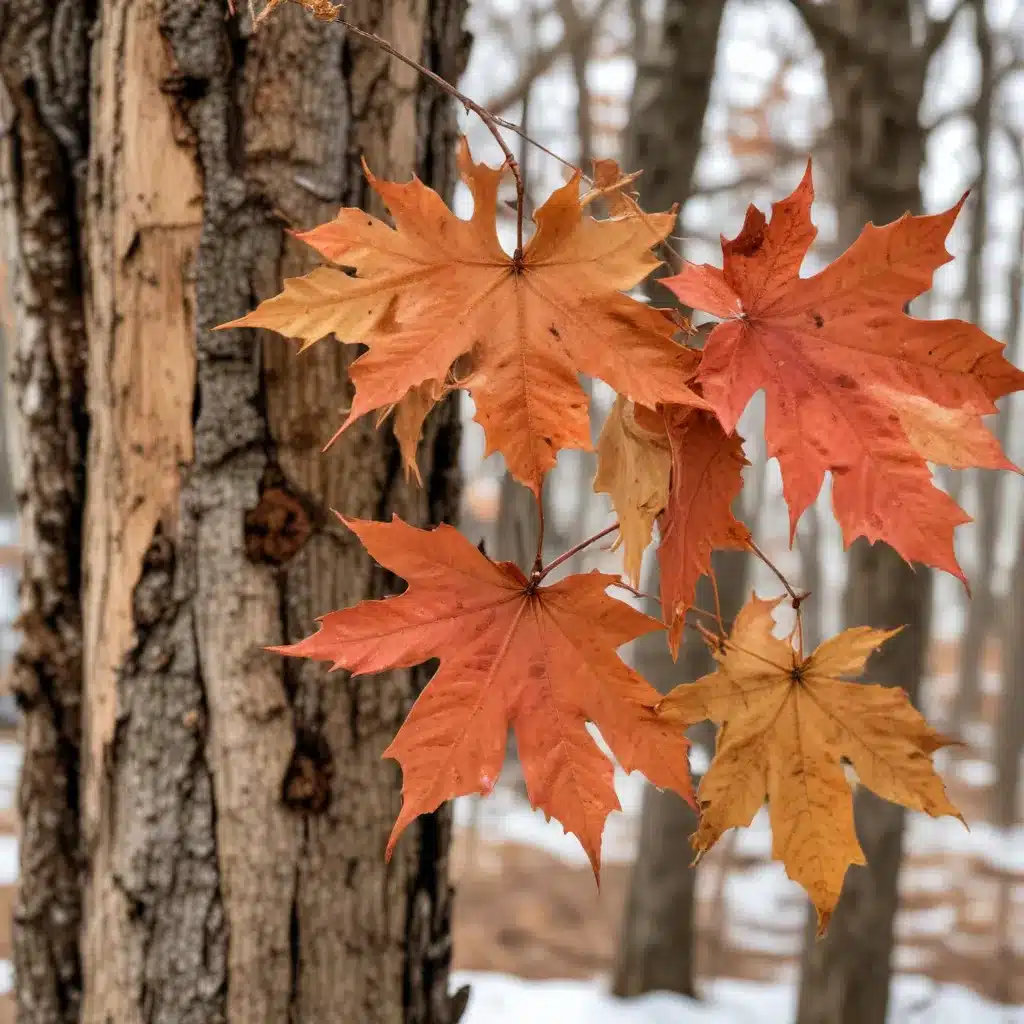 Crooked Pines Farm Hosts a Festive Maple Sugaring Open House and Tour
