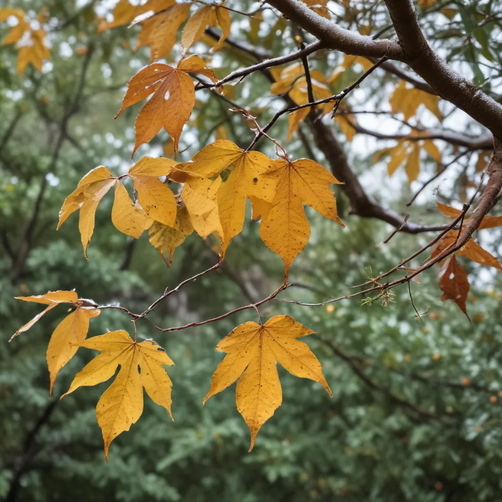 Embracing the Elements: Weathering the Seasons with Resilience