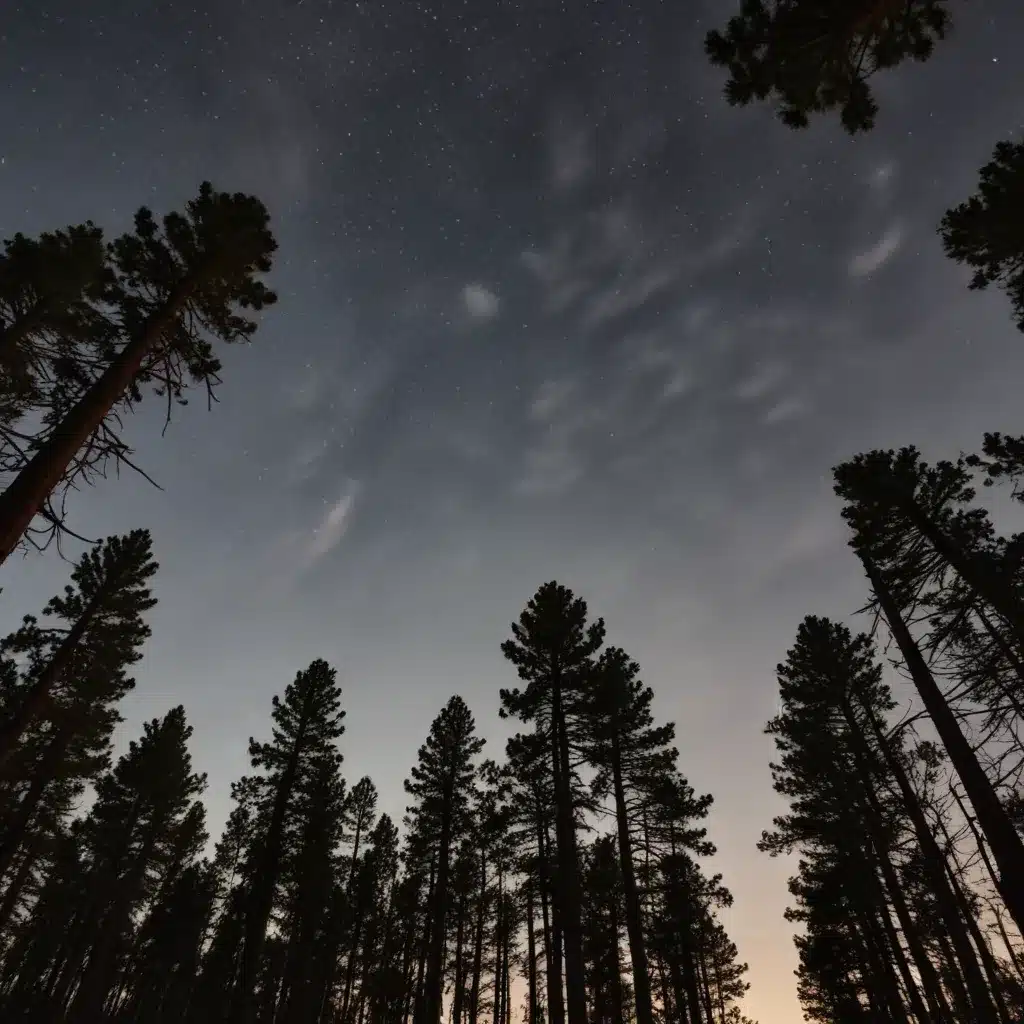 Embracing the Outdoors: Stargazing and Moonlit Walks on the Crooked Pines Trail